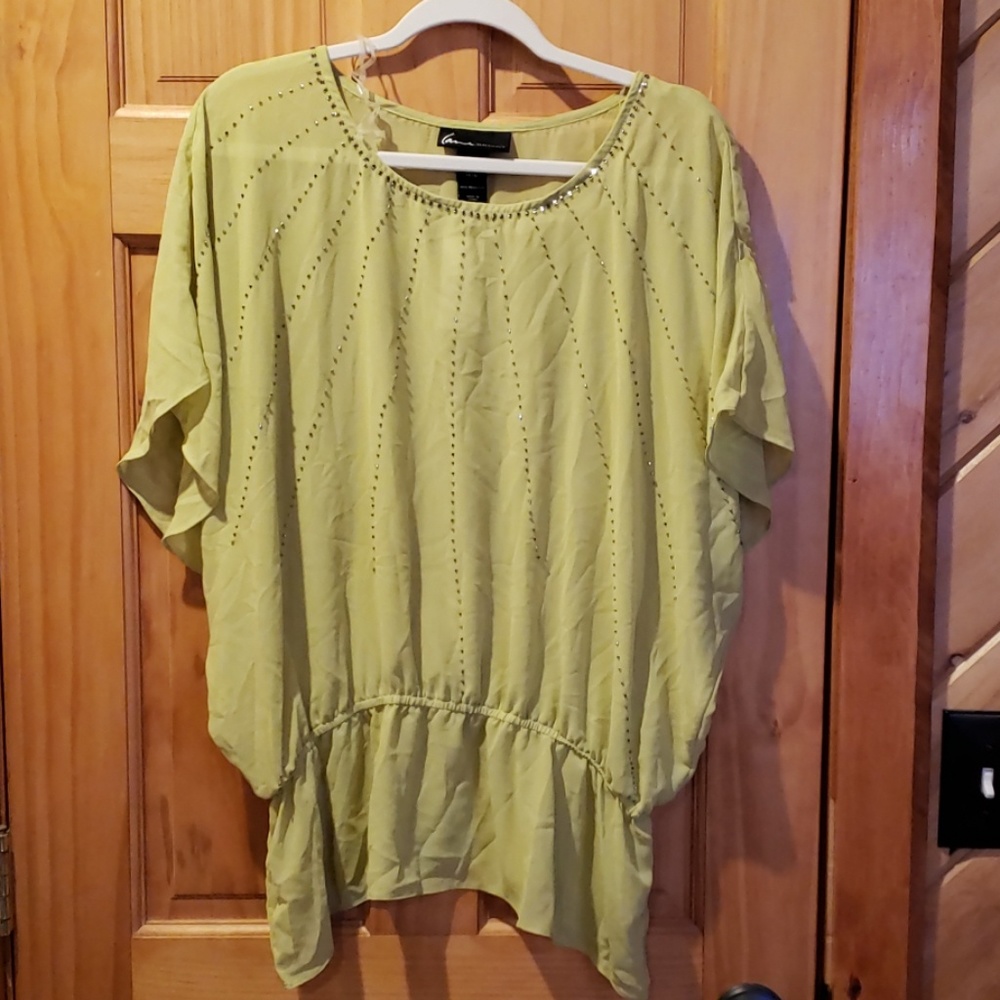 Lane Bryant green sparkle sheer top